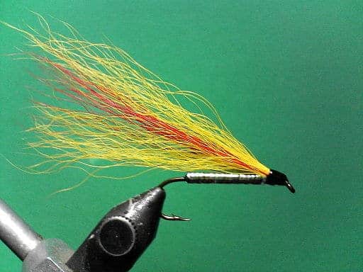 Fly Fishing Streamer